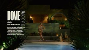 villa hacienda katerini greece rental